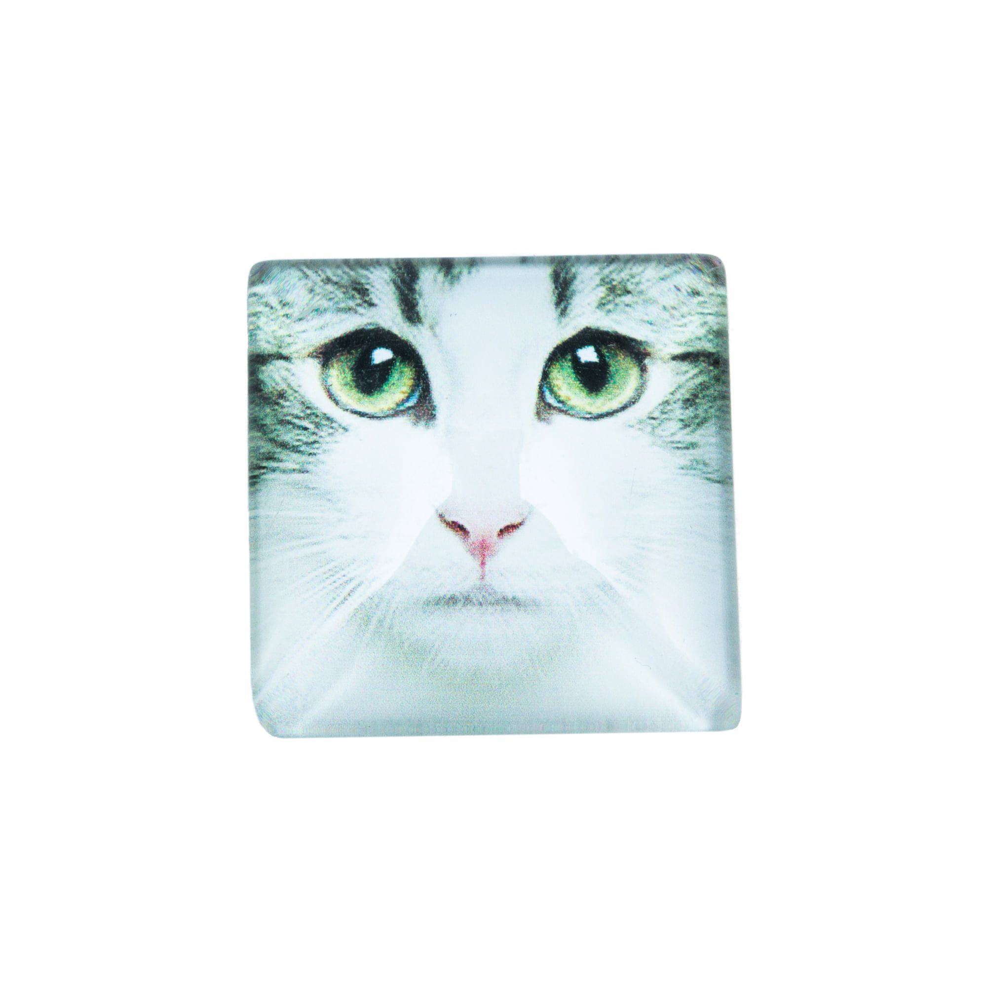designer kitty pattern Magnet for Sale by danibr0wn