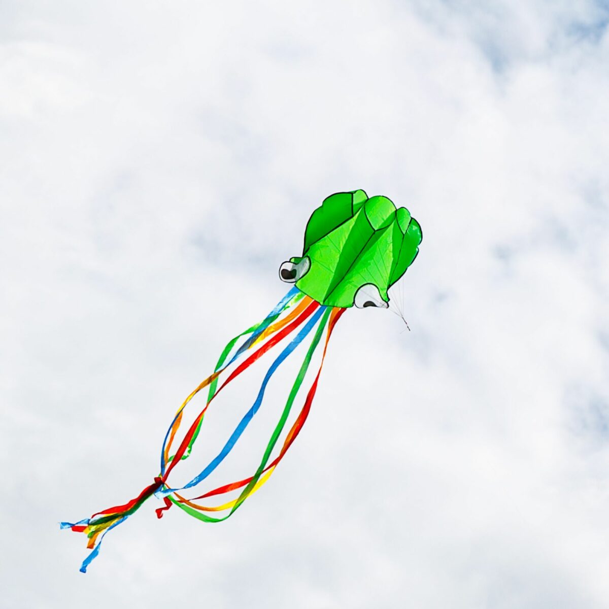 Octopus Kite Green/Orange House of Marbles