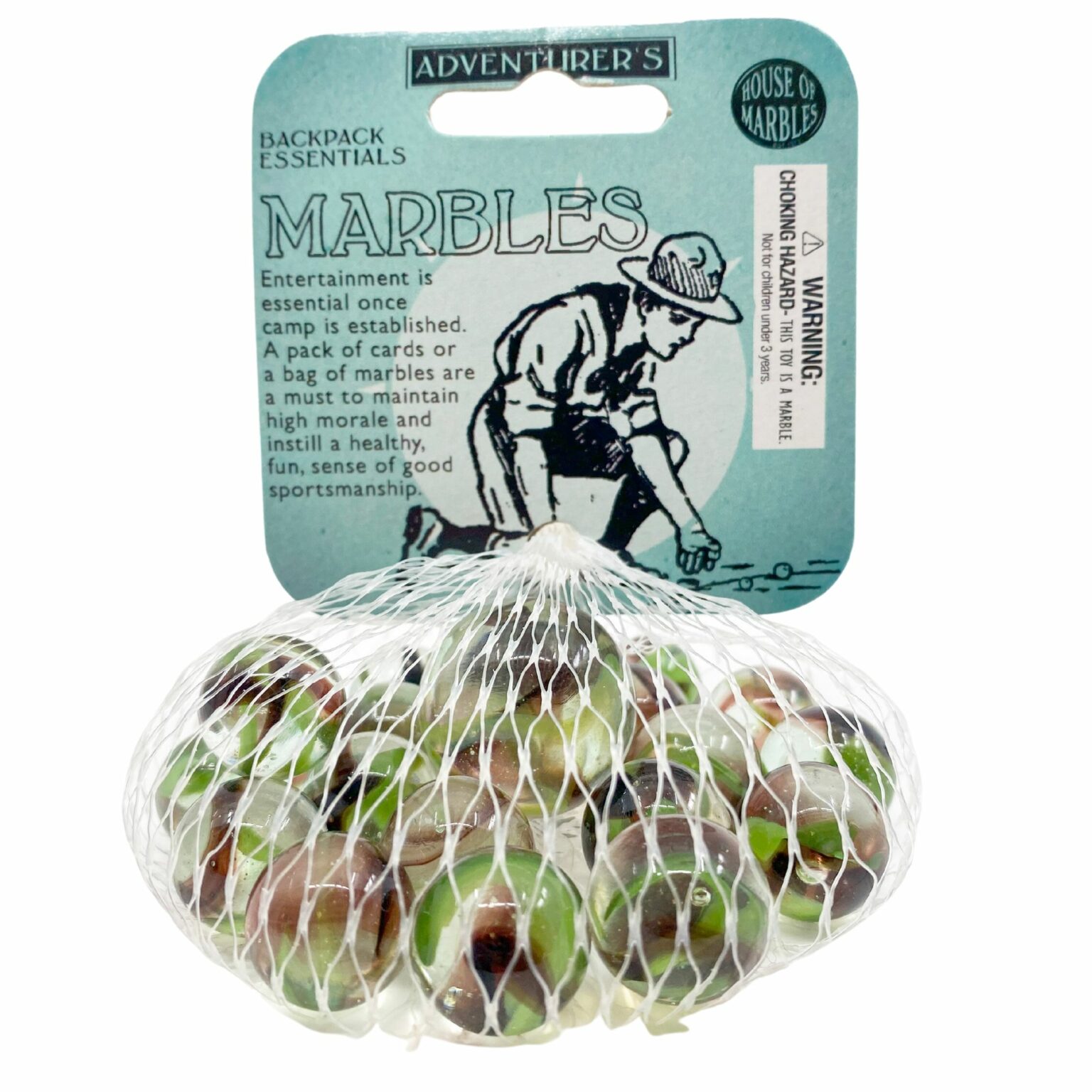 Bag of TRex Marbles House of Marbles