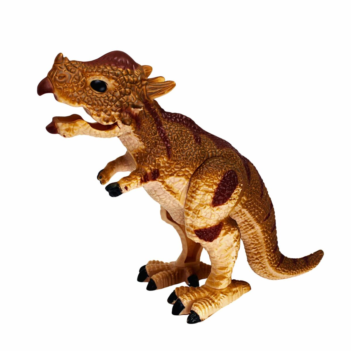 Clockwork-a-Saurus | Wind-up Dinosaur - Pachycephalosaurus - House of ...