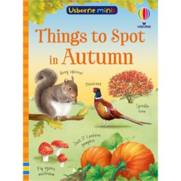 Things to Spot in Autumn Book