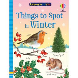 Things to Spot in Winter