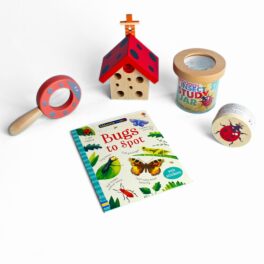 The Bug Explorer Collection - Ladybird