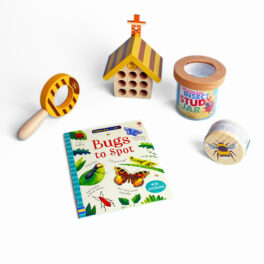The Bug Explorer Collection - Bee